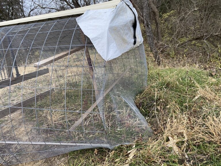 How To Do Most Anything By Yourself Ant Moves Chicken Coop Brass Egg